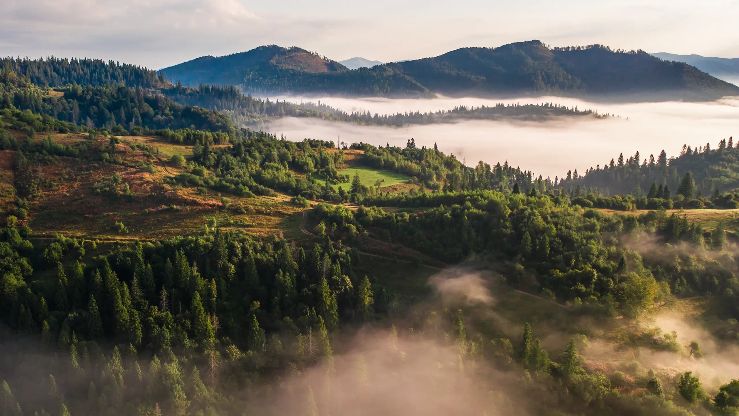 Миниатюра на дървени въглища КОМ 4